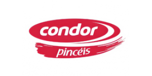 Condor Pincéis